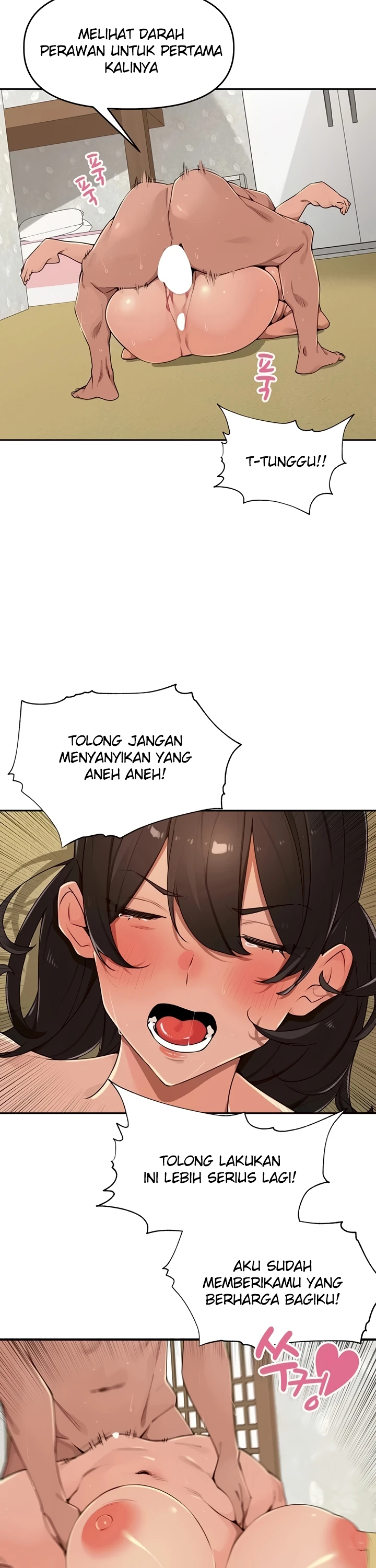 Village Special Ordinance - Page 6